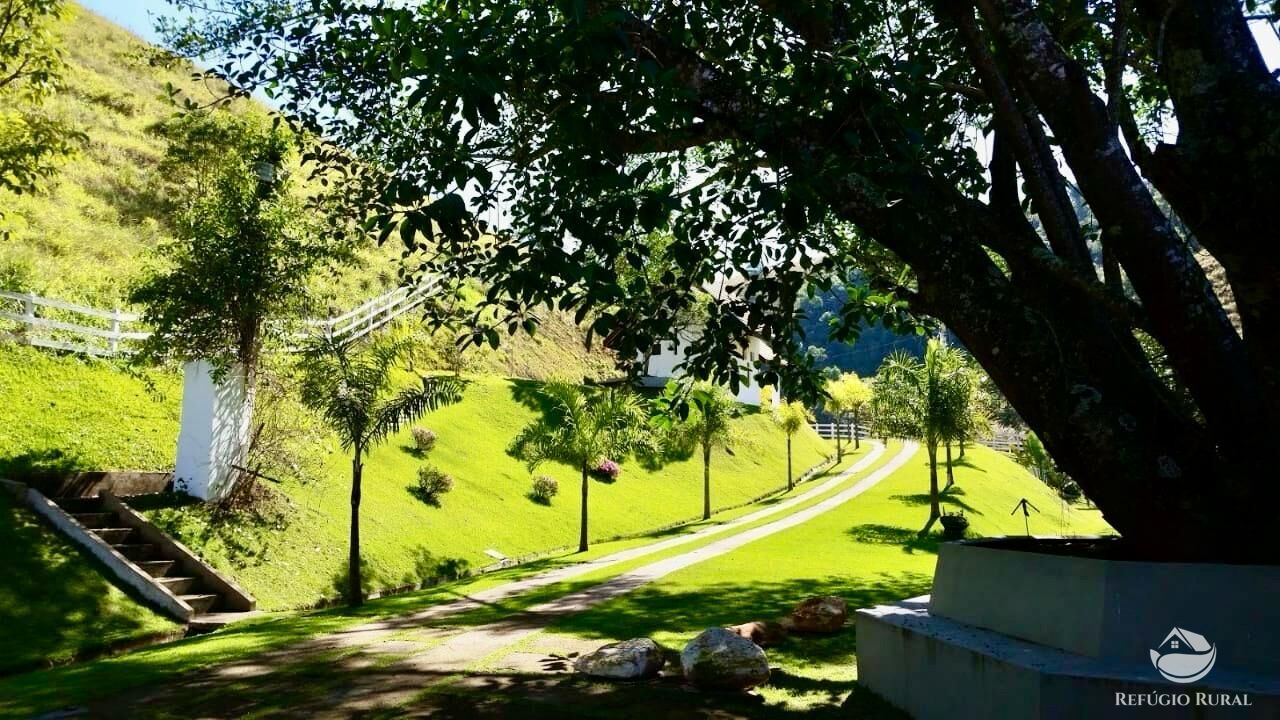 Sítio à venda com 3 quartos, 450000m² - Foto 9