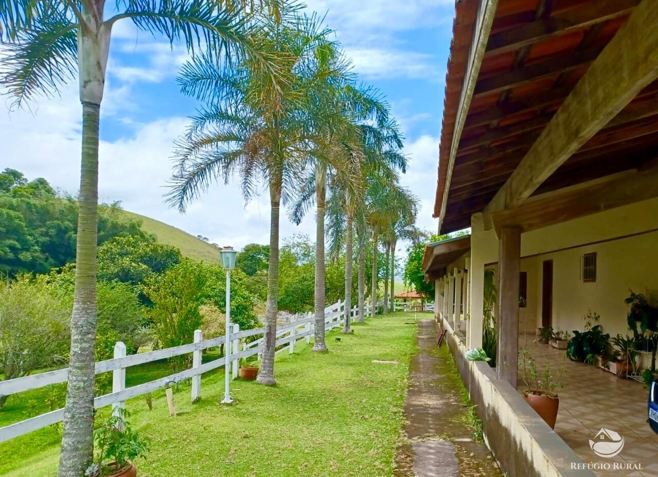 Sítio à venda com 3 quartos, 450000m² - Foto 14