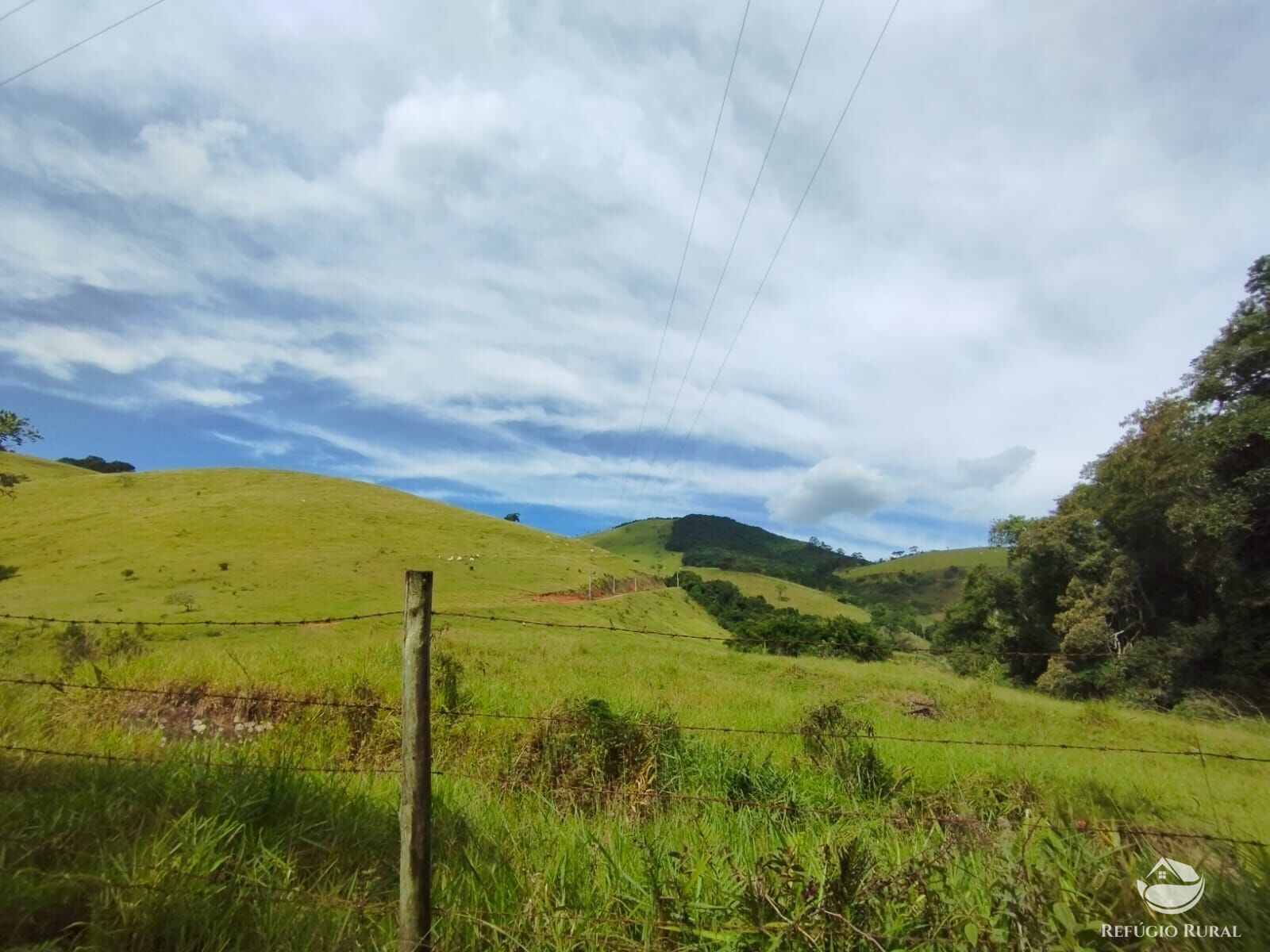 Fazenda à venda com 1 quarto, 2420000m² - Foto 14