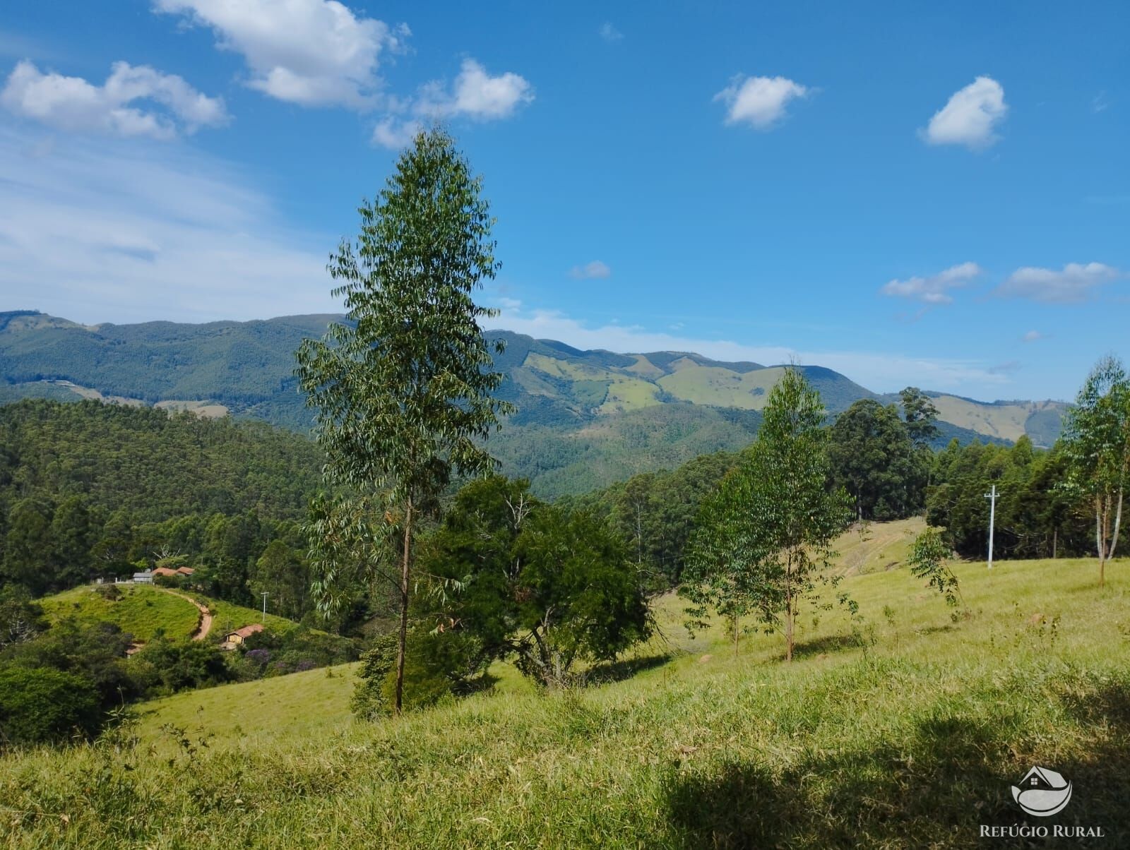 Fazenda à venda com 1 quarto, 2420000m² - Foto 5