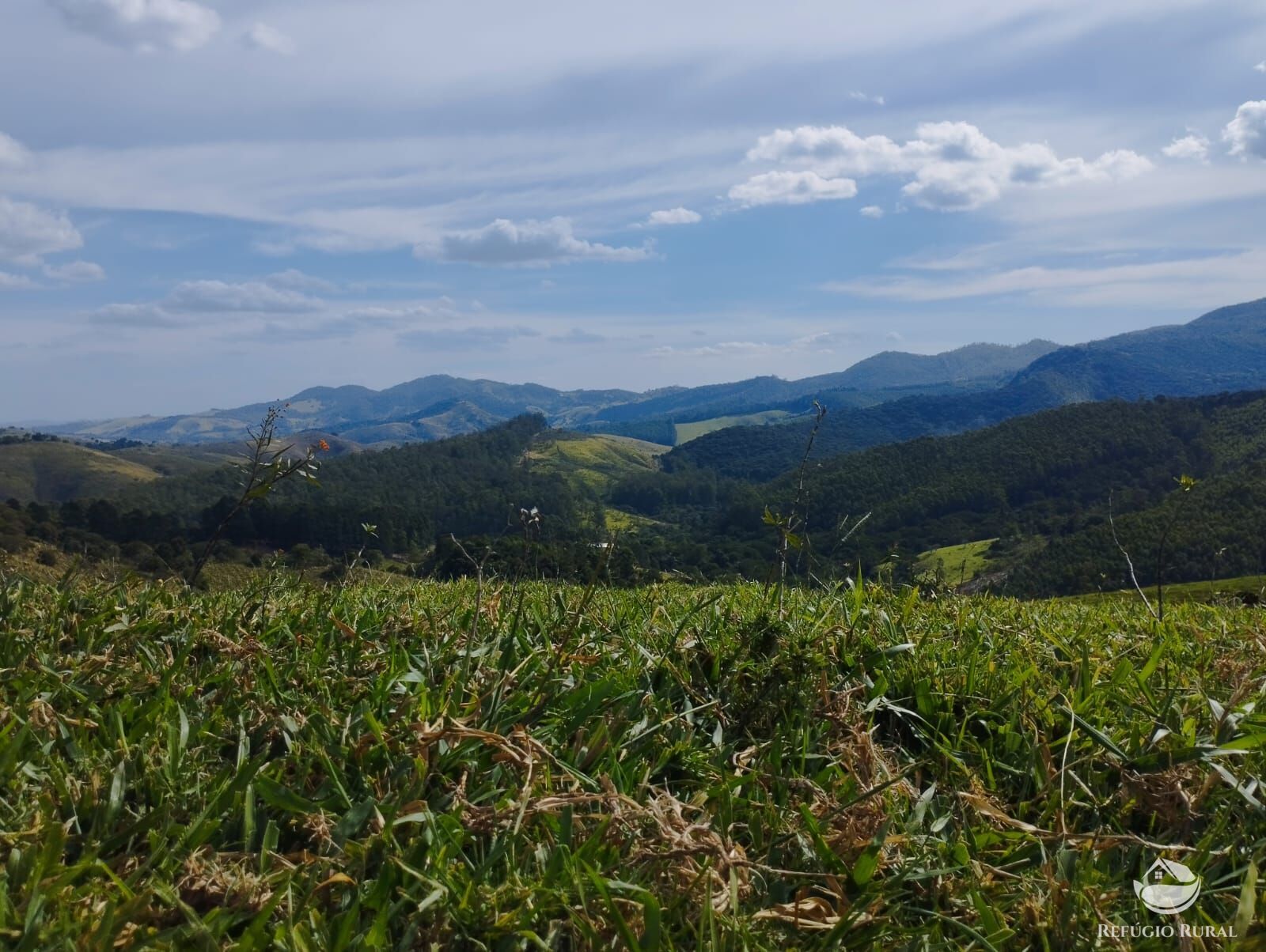 Fazenda à venda com 1 quarto, 2420000m² - Foto 35