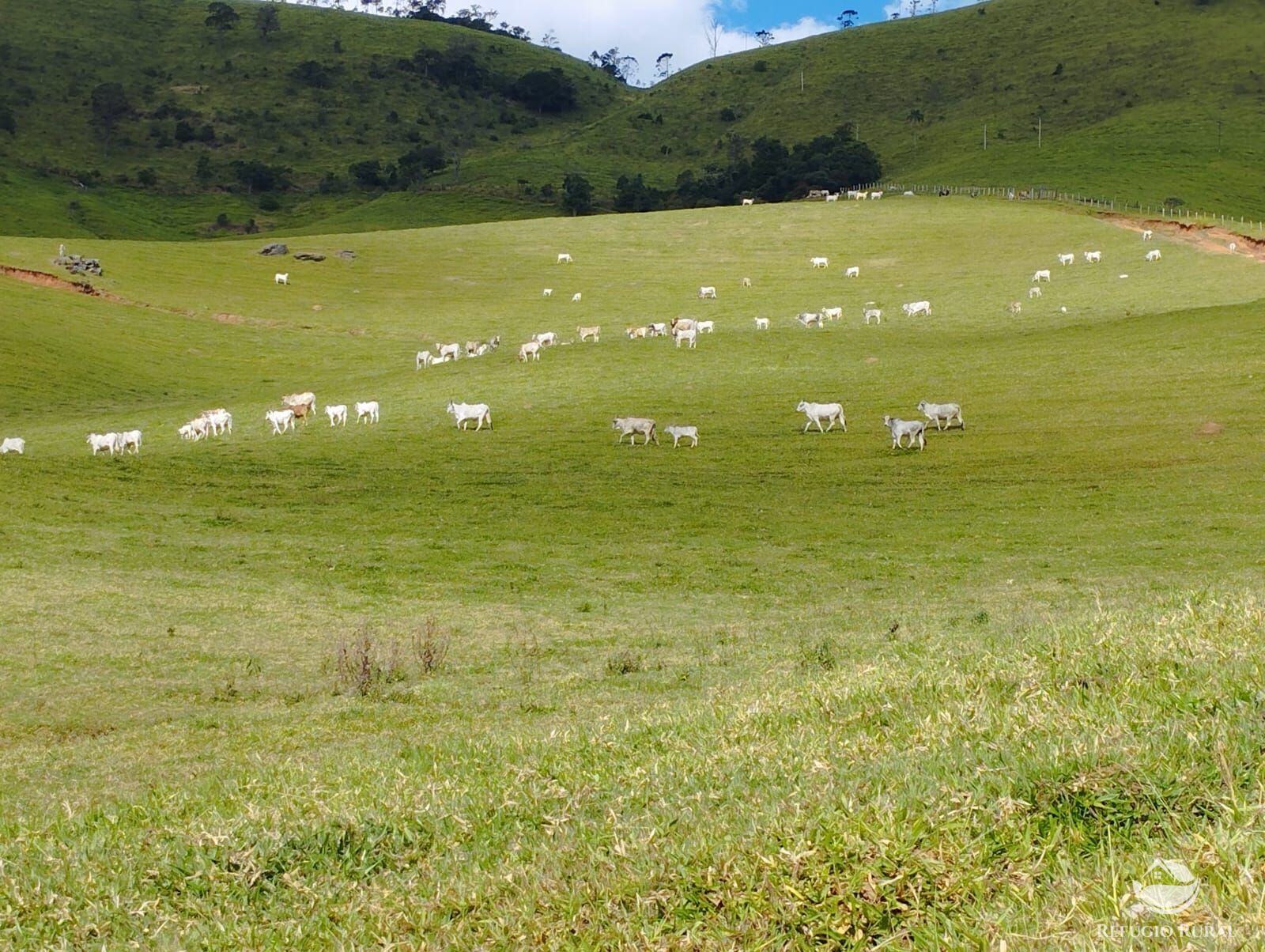 Fazenda à venda com 1 quarto, 2420000m² - Foto 24