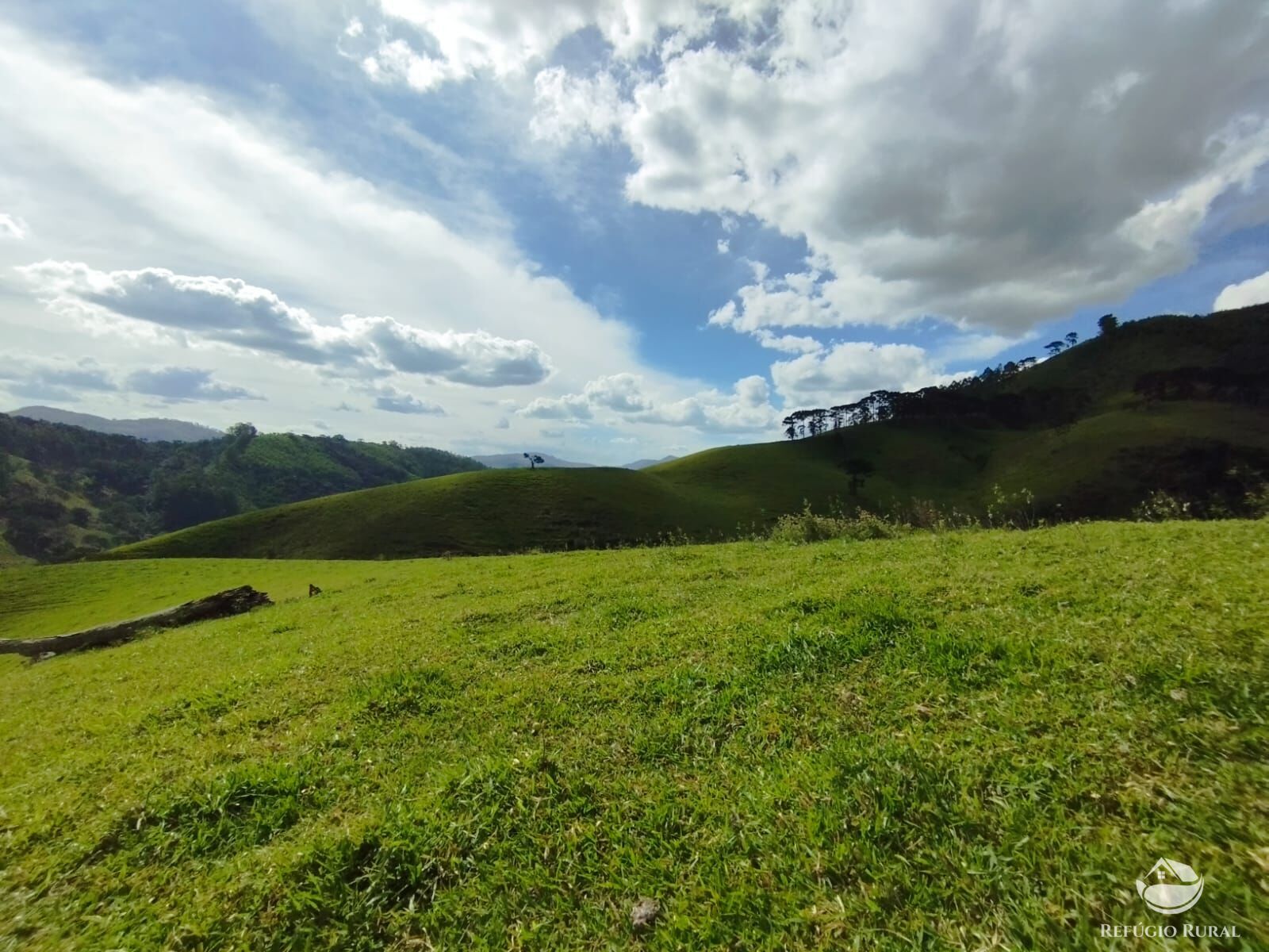 Fazenda à venda com 1 quarto, 2420000m² - Foto 38