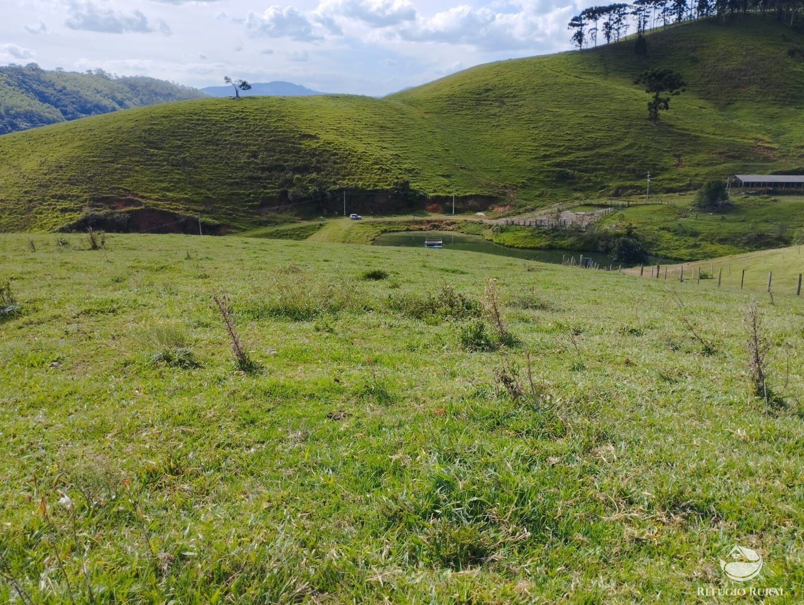 Fazenda à venda com 1 quarto, 2420000m² - Foto 33