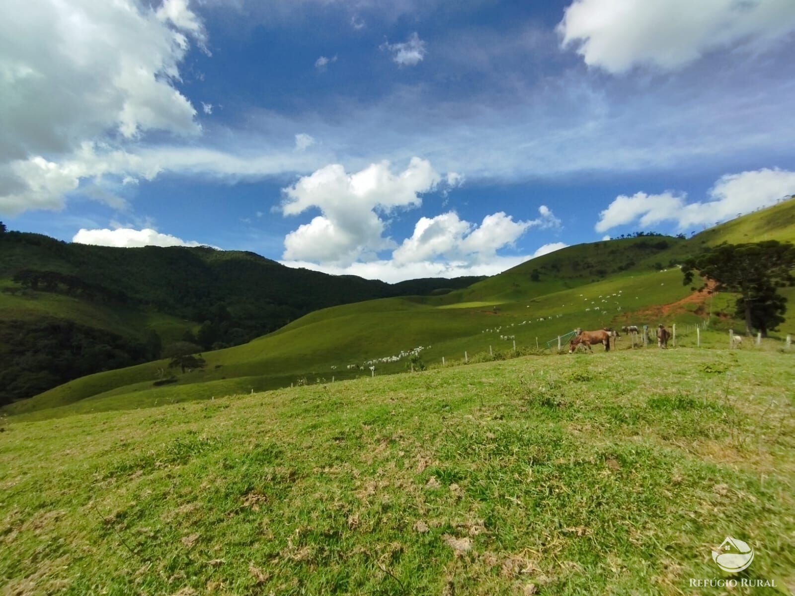 Fazenda à venda com 1 quarto, 2420000m² - Foto 36