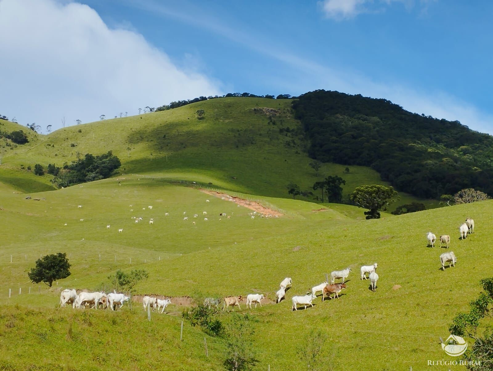 Fazenda à venda com 1 quarto, 2420000m² - Foto 16