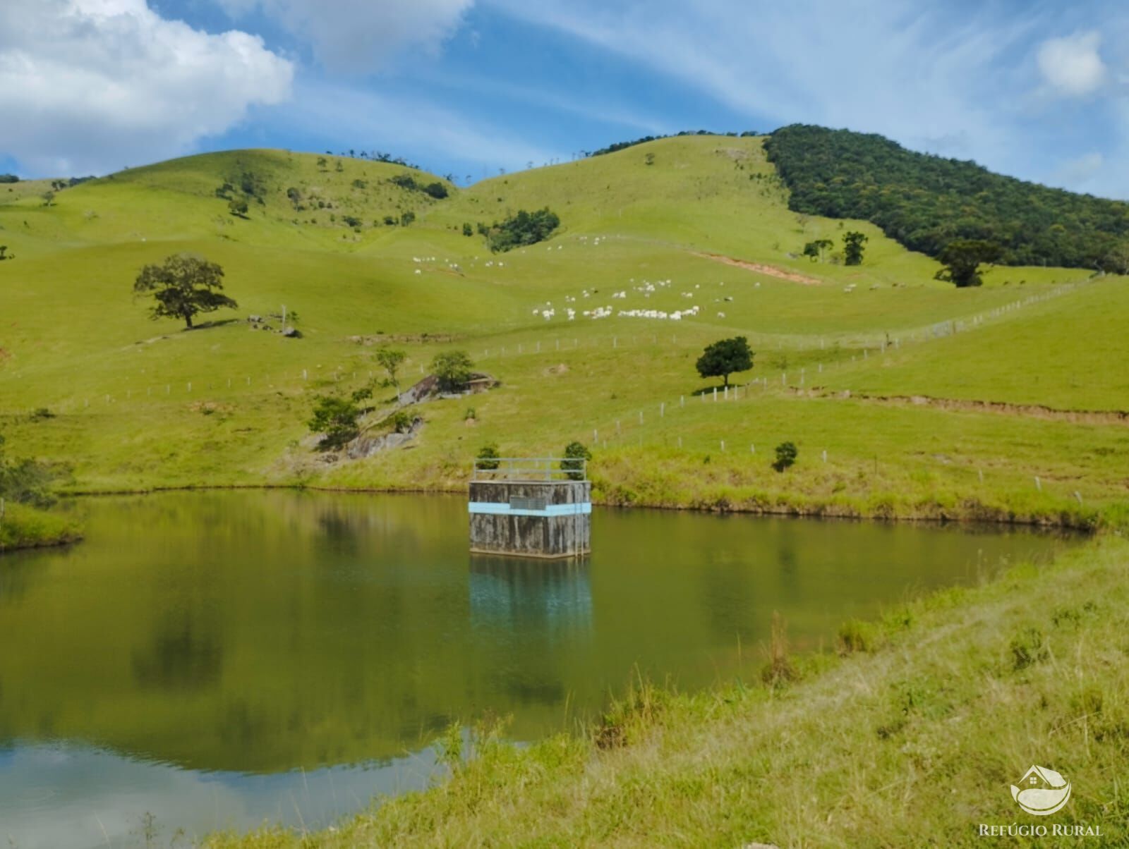 Fazenda à venda com 1 quarto, 2420000m² - Foto 41