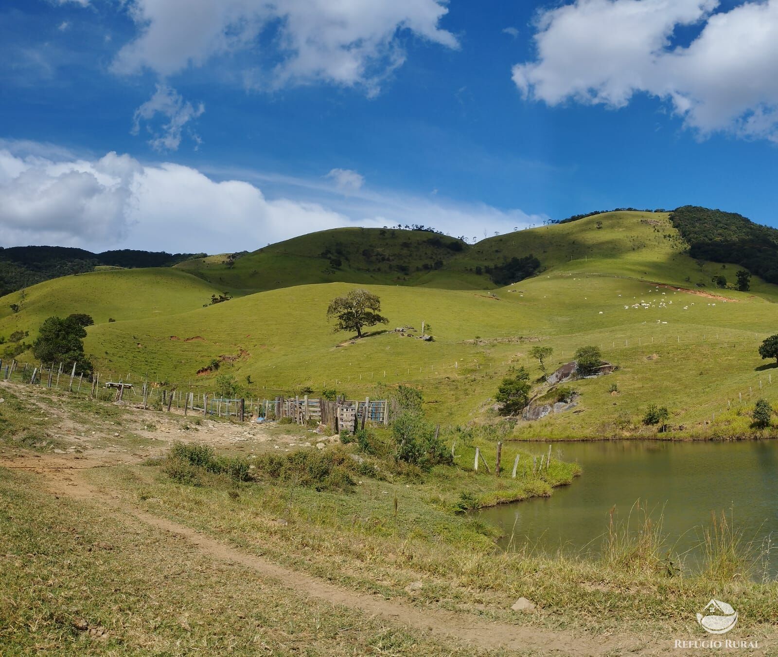 Fazenda à venda com 1 quarto, 2420000m² - Foto 25