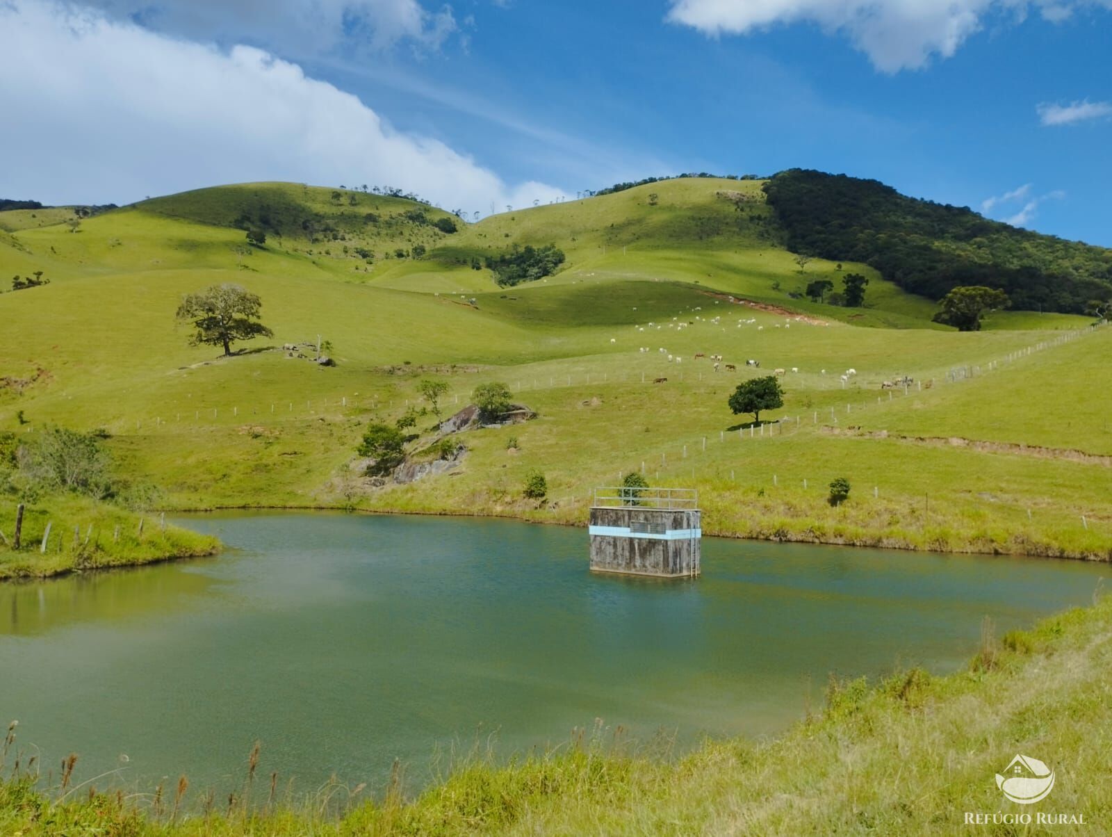 Fazenda à venda com 1 quarto, 2420000m² - Foto 2