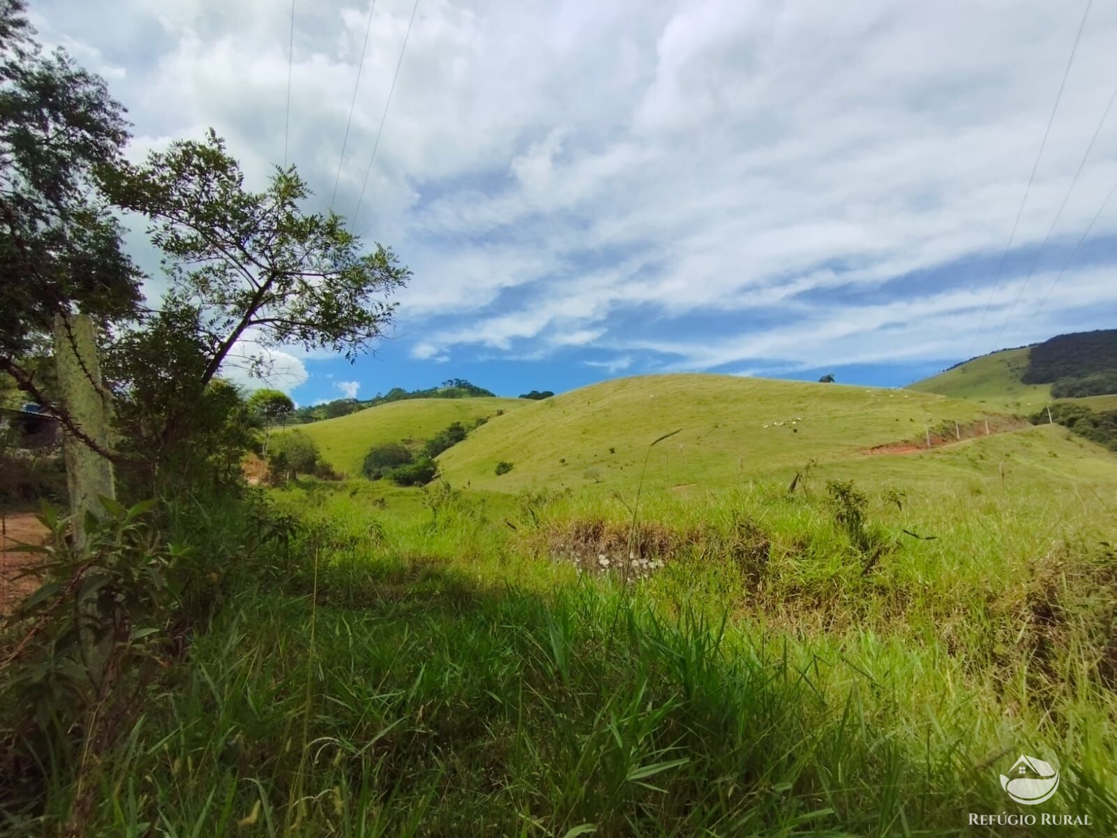 Fazenda à venda com 1 quarto, 2420000m² - Foto 7