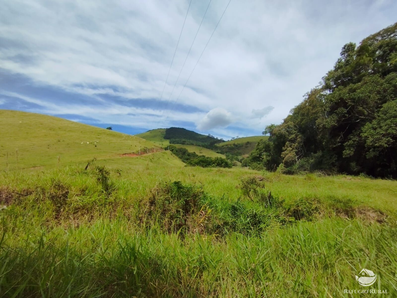 Fazenda à venda com 1 quarto, 2420000m² - Foto 10