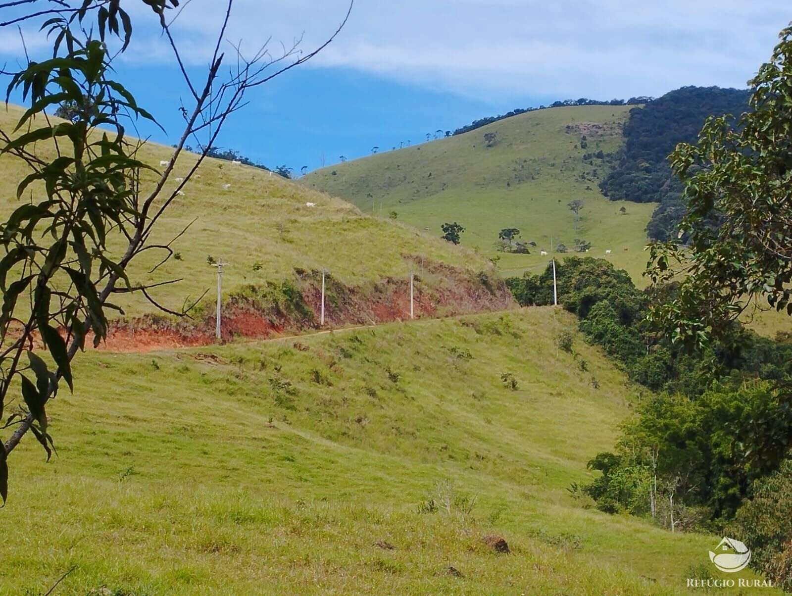 Fazenda à venda com 1 quarto, 2420000m² - Foto 11