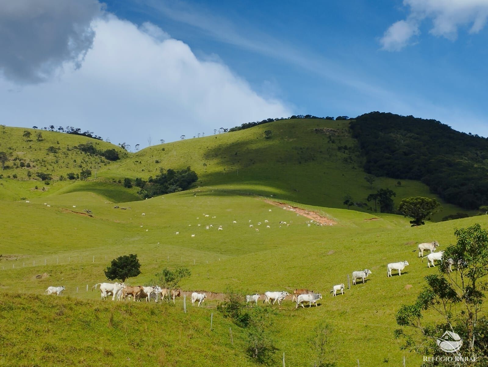 Fazenda à venda com 1 quarto, 2420000m² - Foto 17