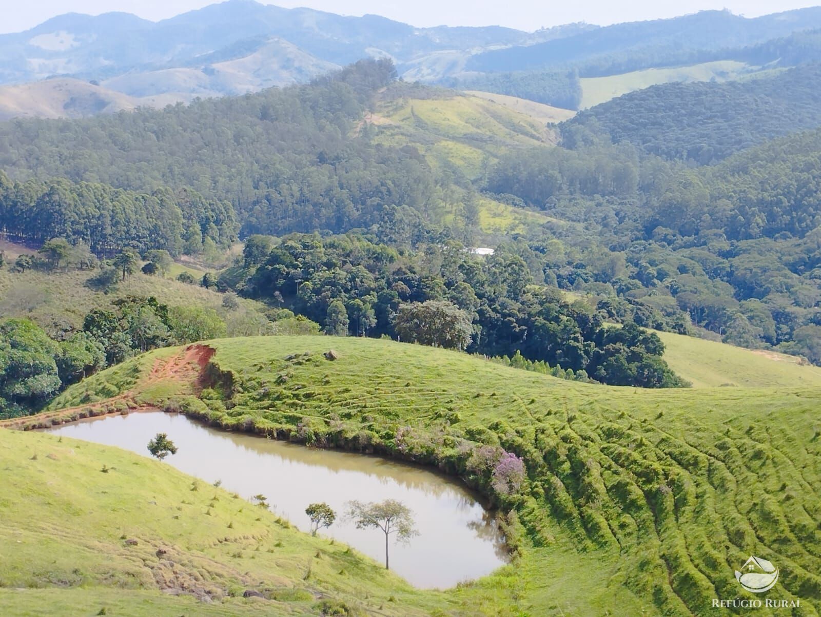 Fazenda à venda com 1 quarto, 2420000m² - Foto 3