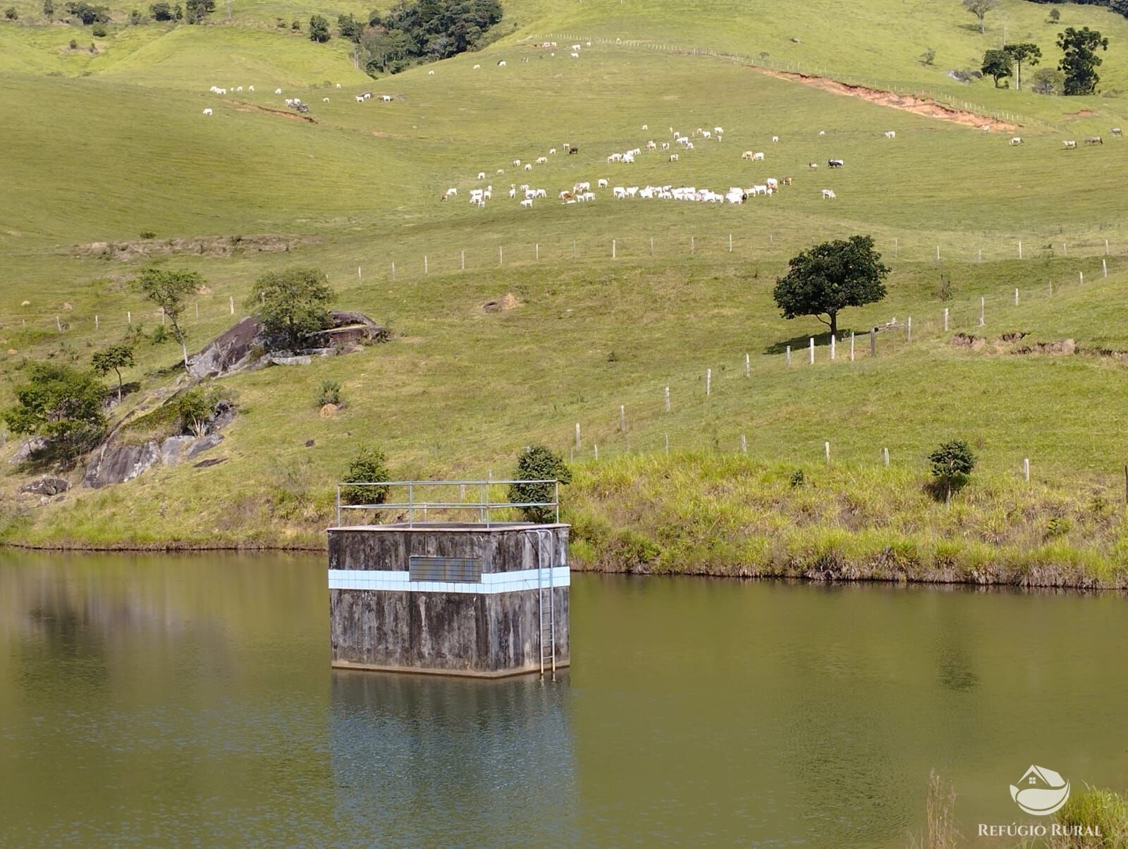 Fazenda à venda com 1 quarto, 2420000m² - Foto 40