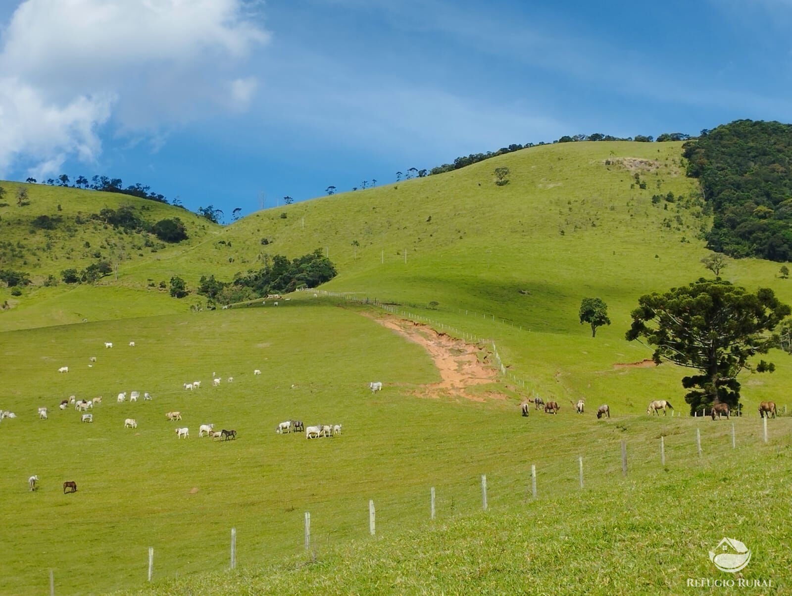 Fazenda à venda com 1 quarto, 2420000m² - Foto 30