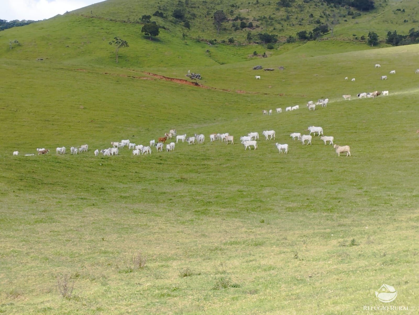 Fazenda à venda com 1 quarto, 2420000m² - Foto 22