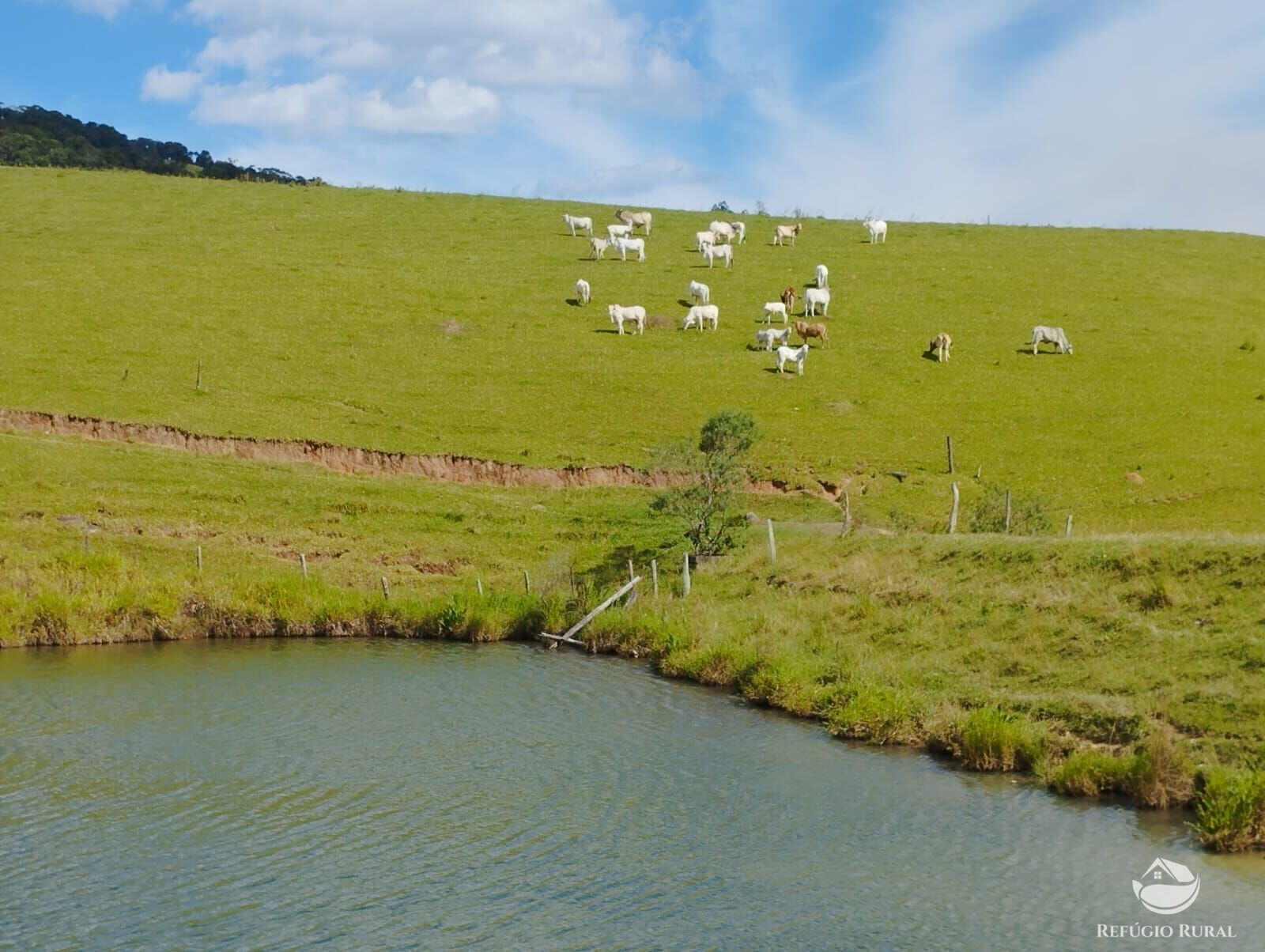 Fazenda à venda com 1 quarto, 2420000m² - Foto 15