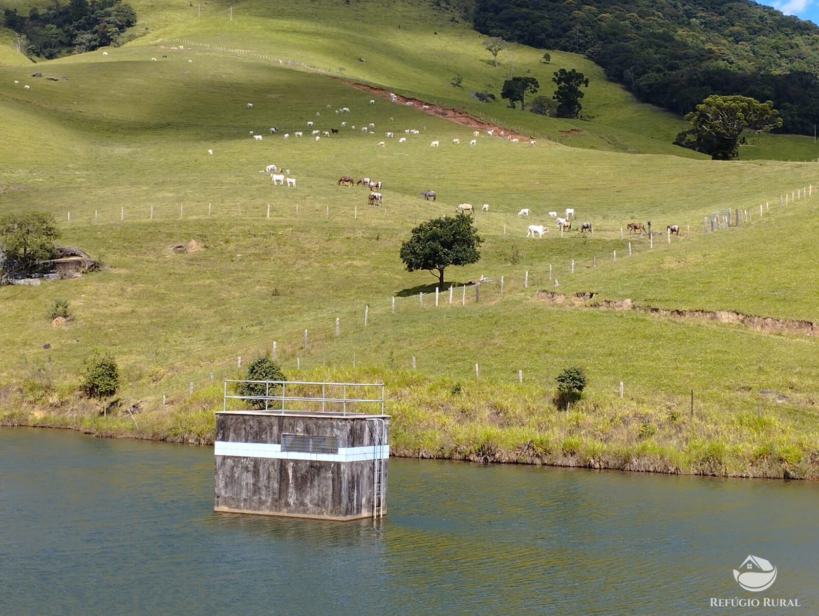 Fazenda à venda com 1 quarto, 2420000m² - Foto 20