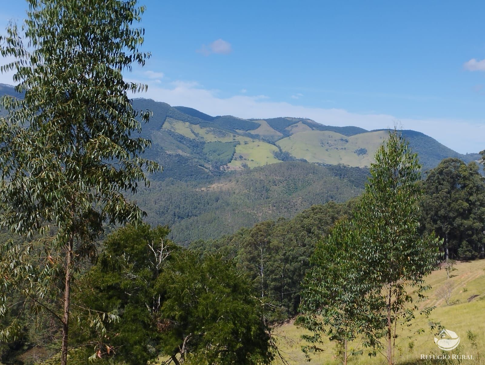 Fazenda à venda com 1 quarto, 2420000m² - Foto 6