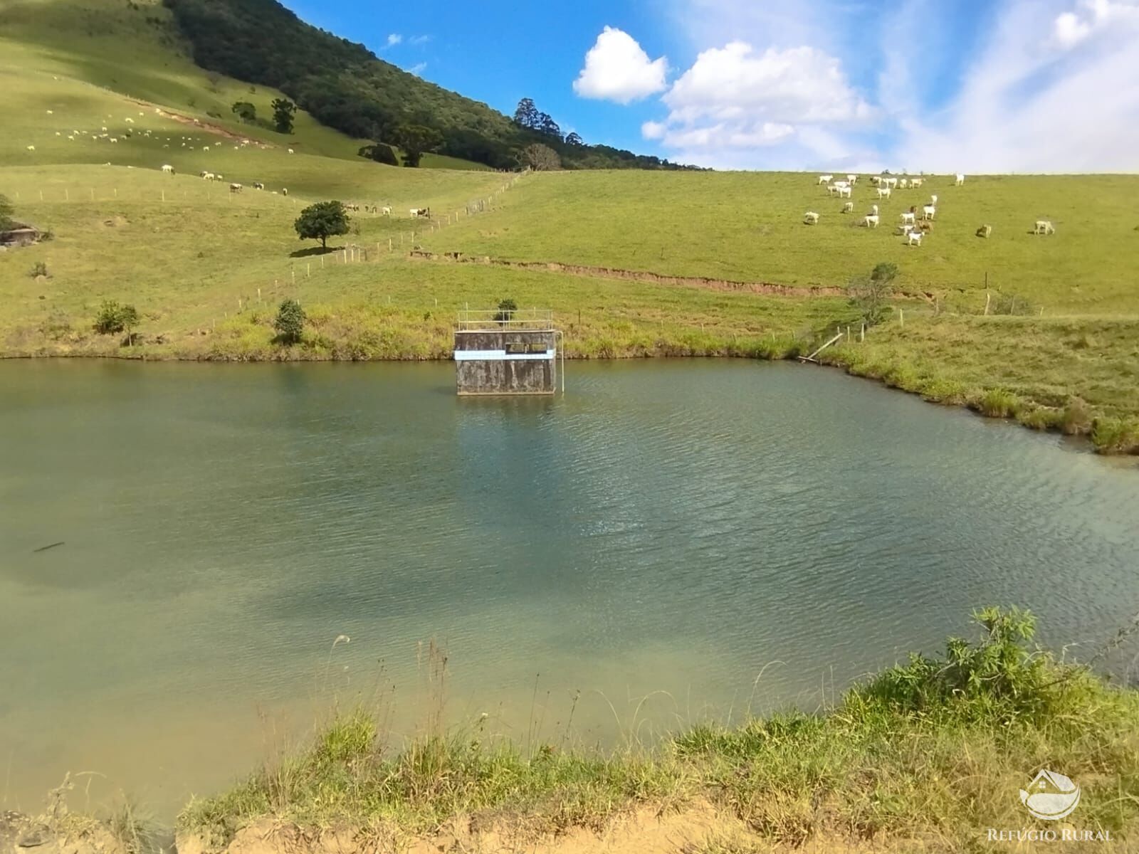 Fazenda à venda com 1 quarto, 2420000m² - Foto 9