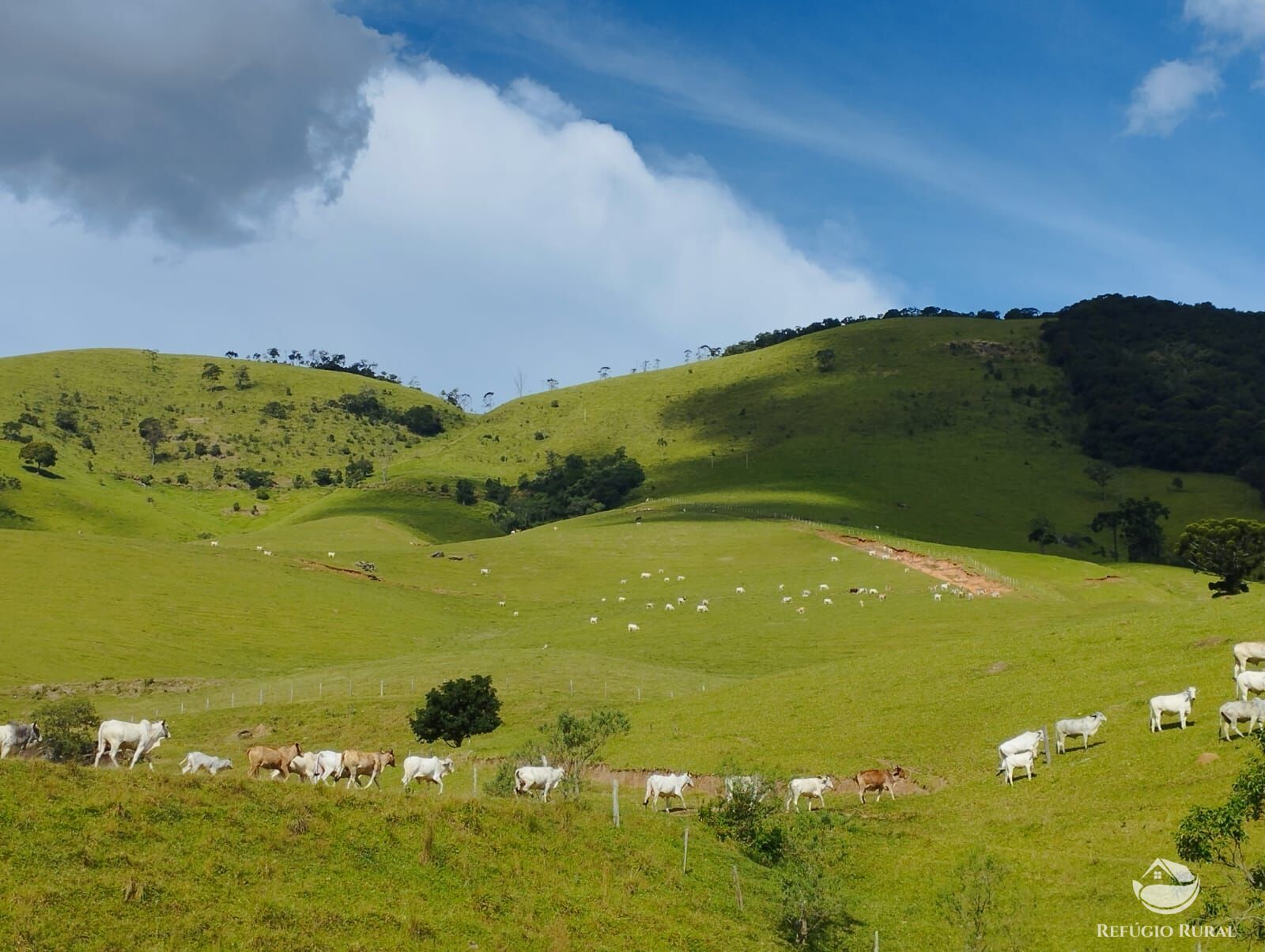 Fazenda à venda com 1 quarto, 2420000m² - Foto 19