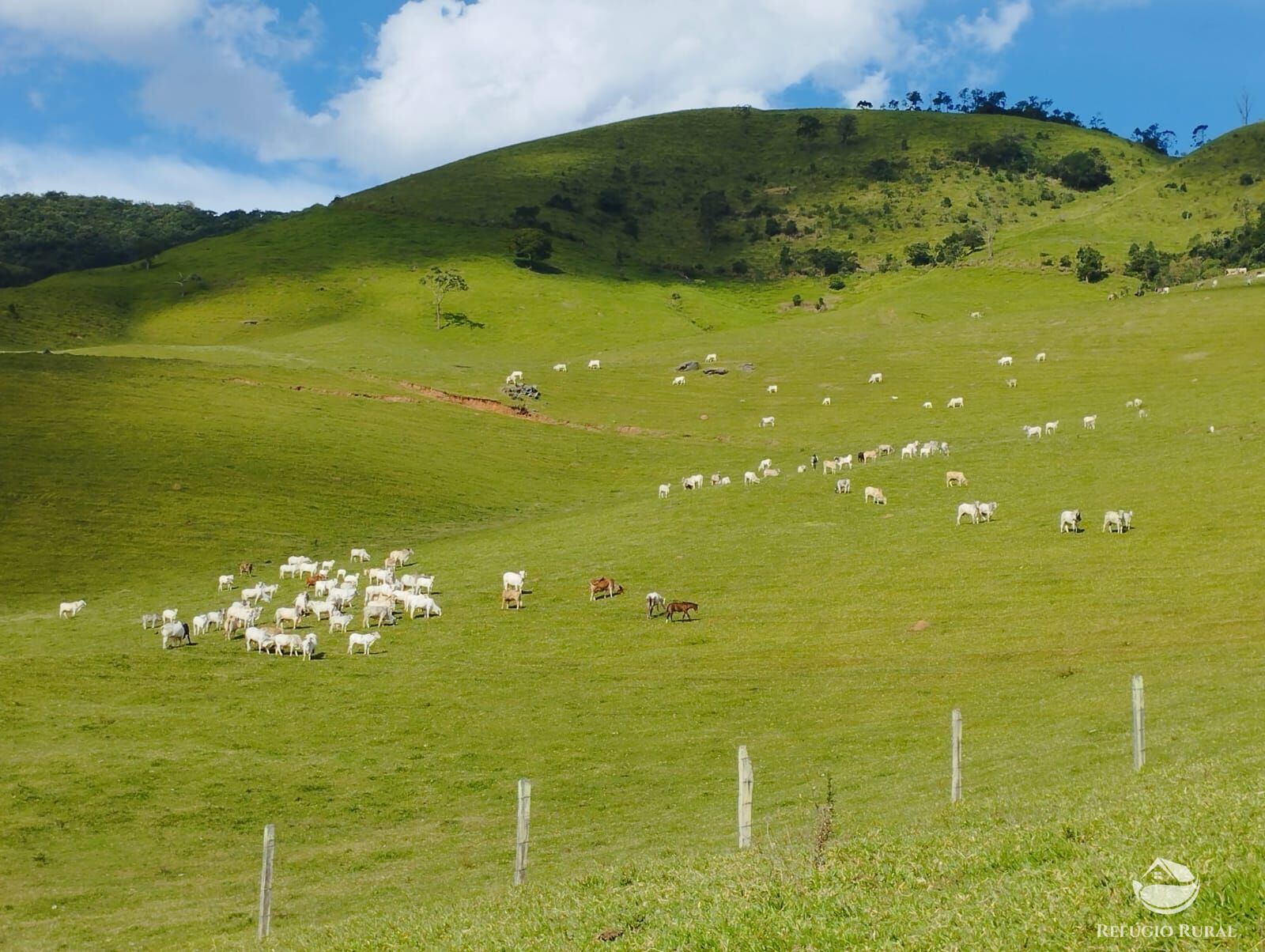 Fazenda à venda com 1 quarto, 2420000m² - Foto 42