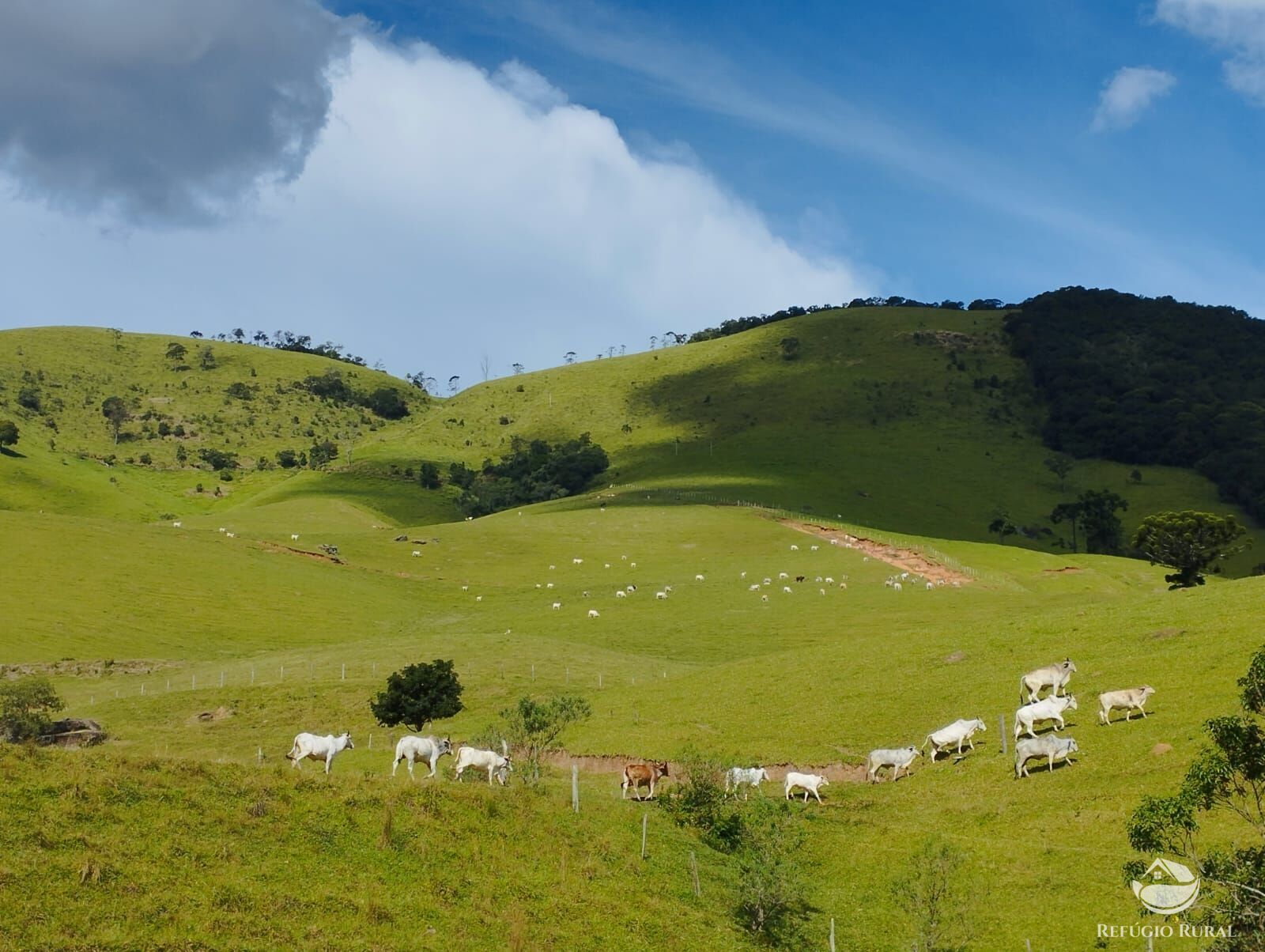 Fazenda à venda com 1 quarto, 2420000m² - Foto 18