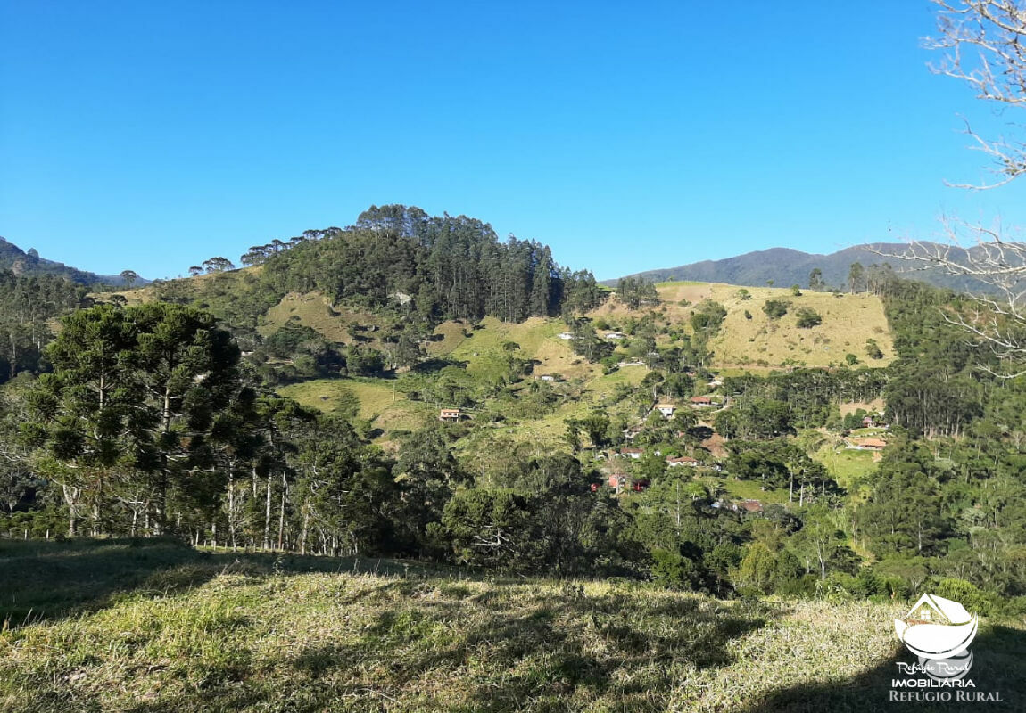 Terreno à venda, 23000m² - Foto 2