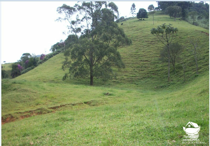 Terreno à venda, 23000m² - Foto 5