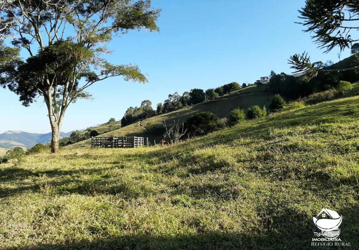 Terreno à venda, 23000m² - Foto 1