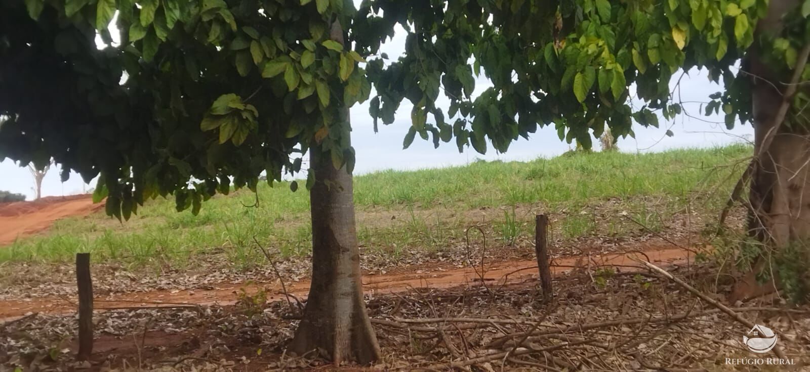 Fazenda em Frutal/Minas Gerais — Ref XDB6GF — Imagem 42