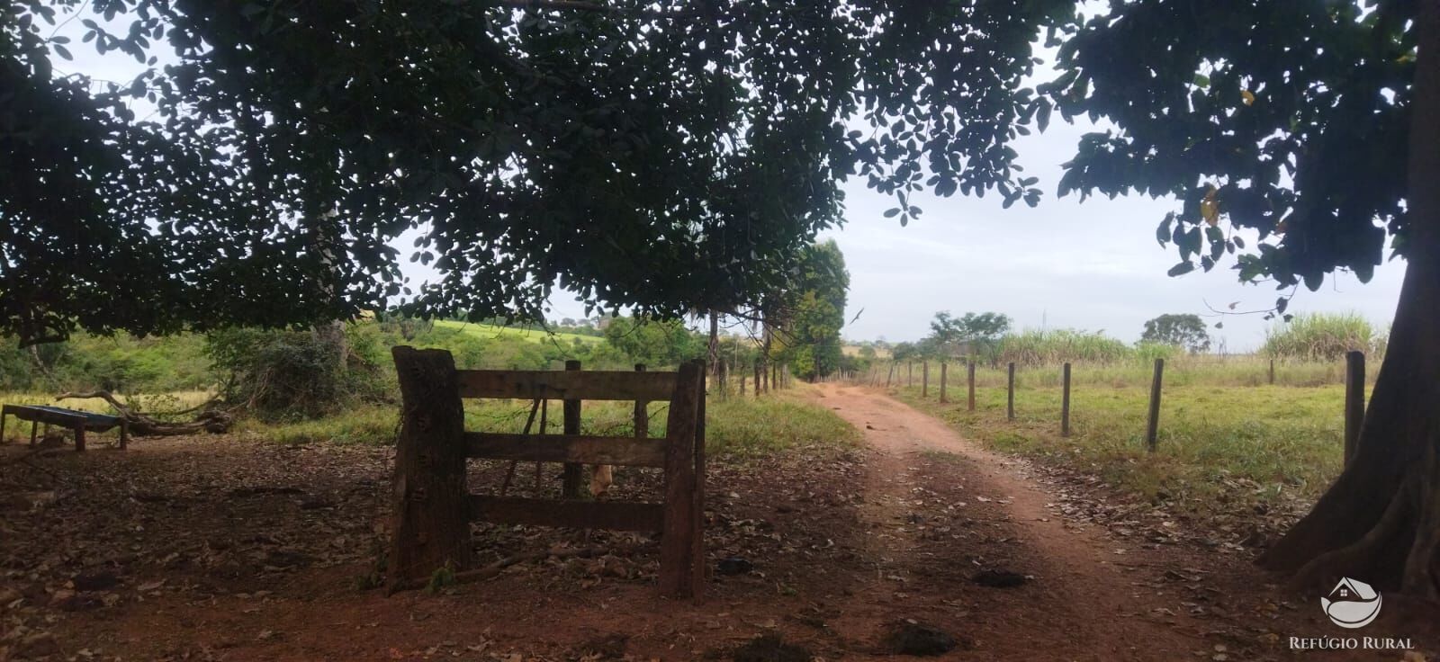 Fazenda em Frutal/Minas Gerais — Ref XDB6GF — Imagem 33