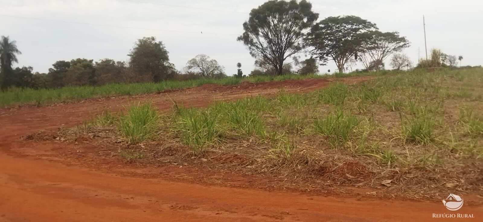 Fazenda em Frutal/Minas Gerais — Ref XDB6GF — Imagem 45