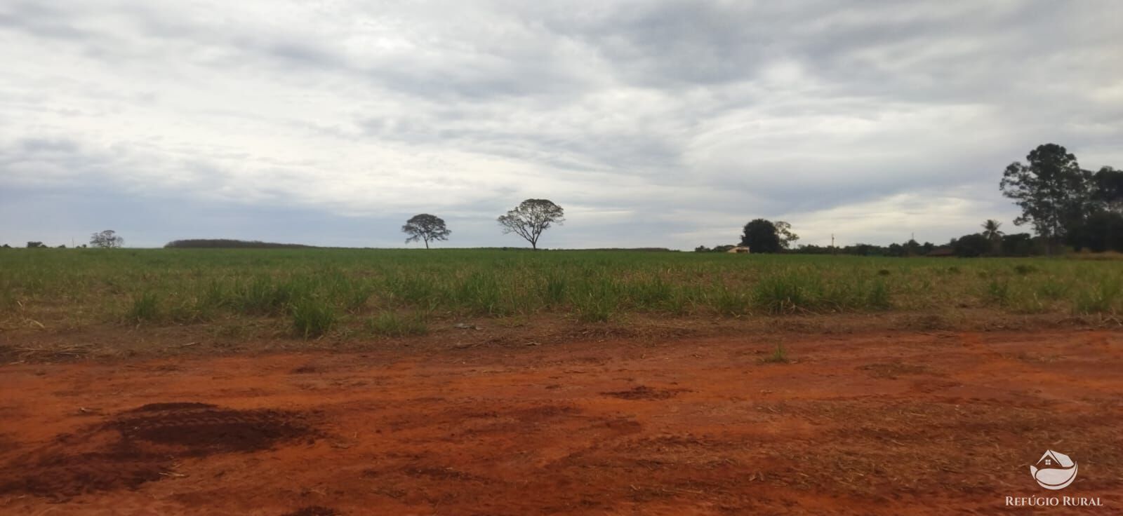 Fazenda, 143264 hectares - Foto 5