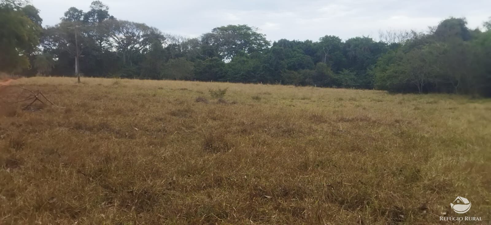 Fazenda em Frutal/Minas Gerais — Ref XDB6GF — Imagem 46