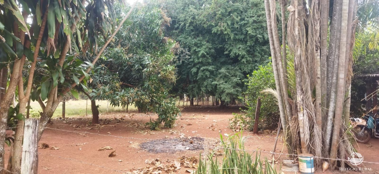 Fazenda em Frutal/Minas Gerais — Ref XDB6GF — Imagem 9