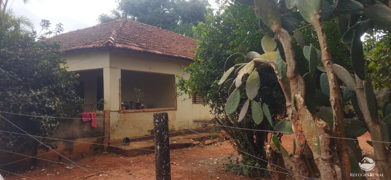 Fazenda em Frutal/Minas Gerais — Ref XDB6GF — Imagem 25