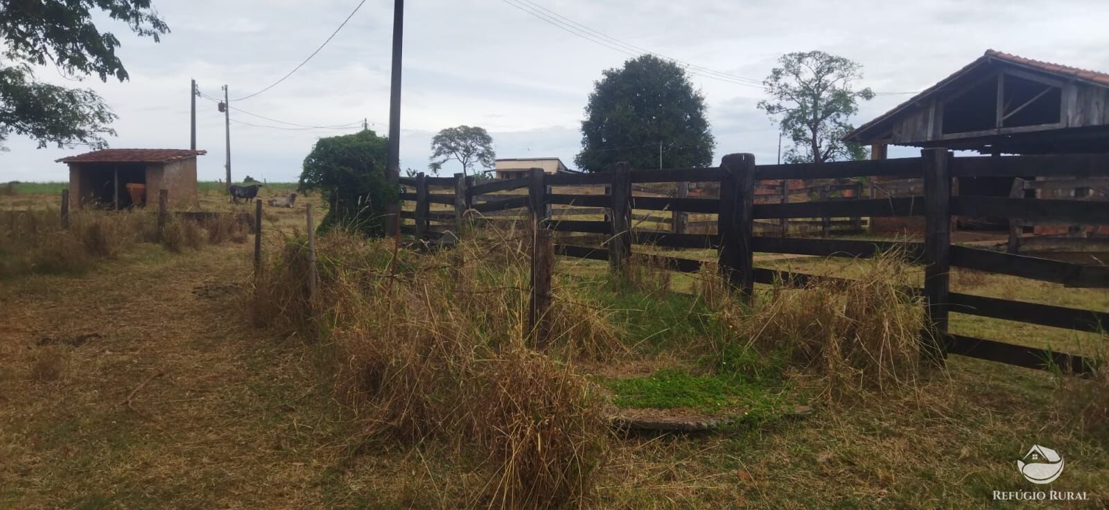 Fazenda em Frutal/Minas Gerais — Ref XDB6GF — Imagem 16