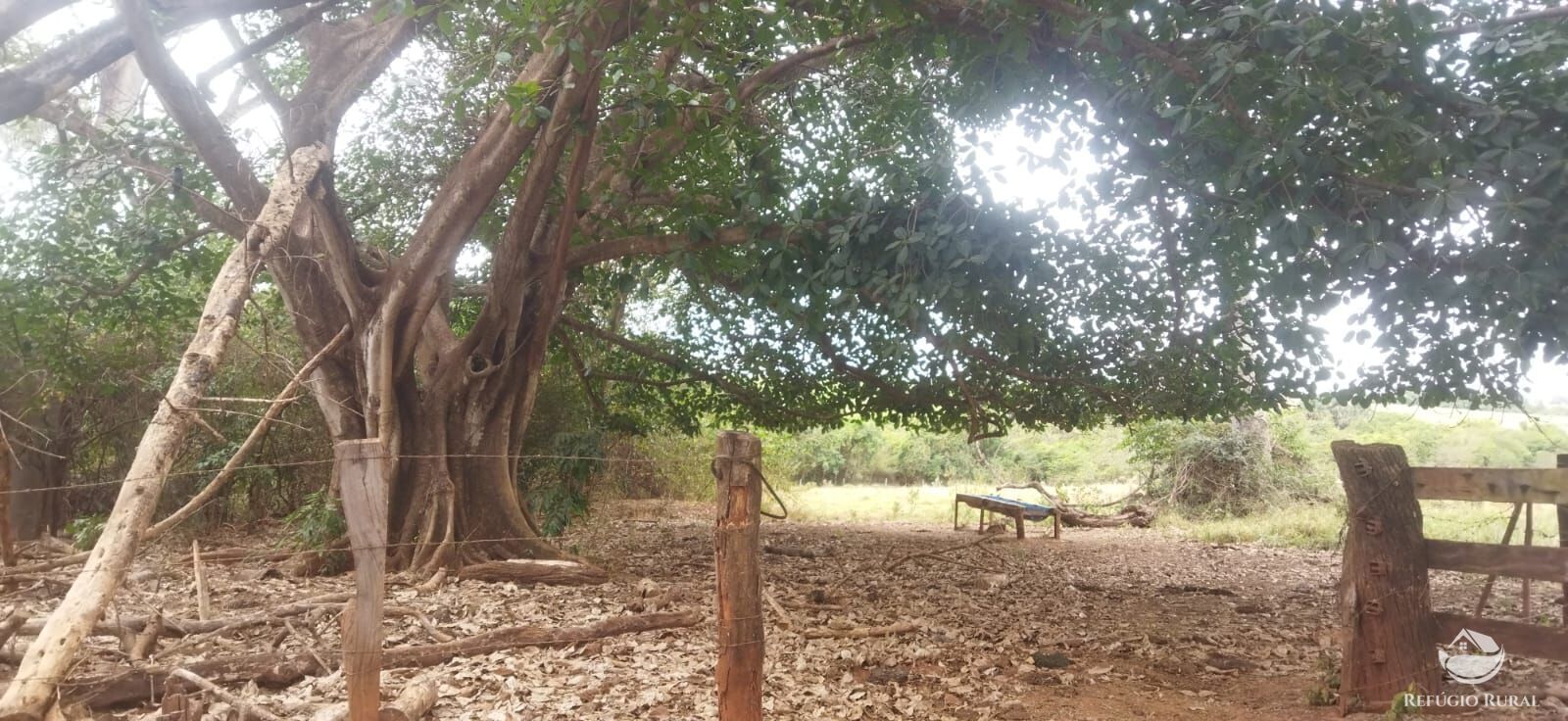 Fazenda em Frutal/Minas Gerais — Ref XDB6GF — Imagem 38