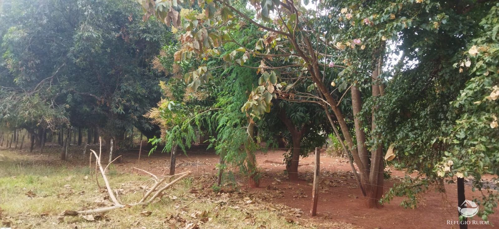 Fazenda em Frutal/Minas Gerais — Ref XDB6GF — Imagem 8