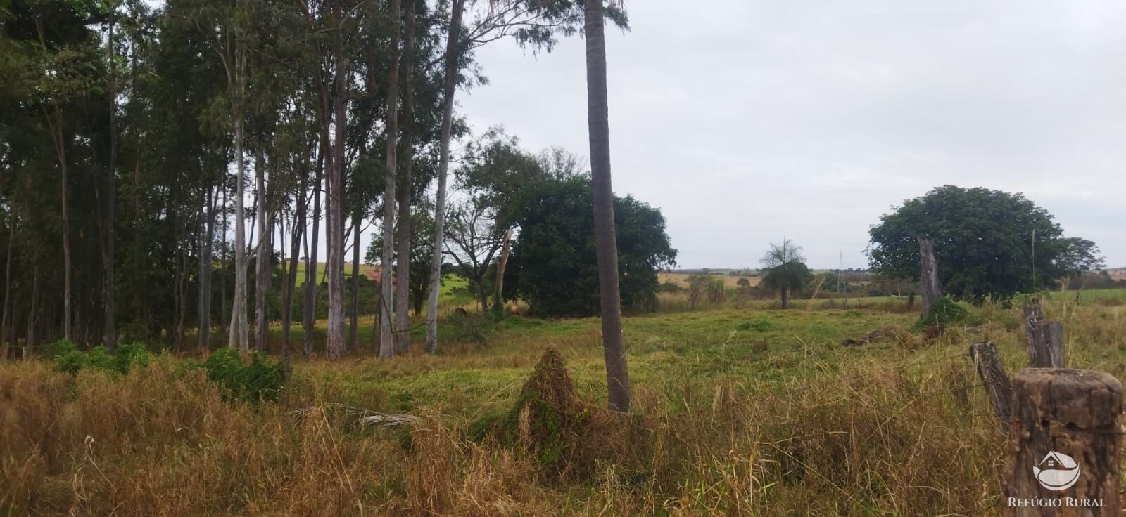 Fazenda em Frutal/Minas Gerais — Ref XDB6GF — Imagem 23