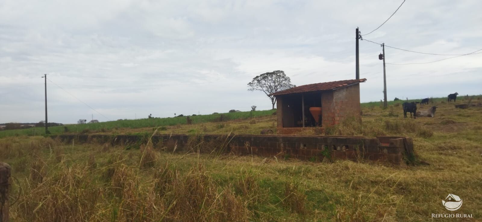 Fazenda em Frutal/Minas Gerais — Ref XDB6GF — Imagem 21