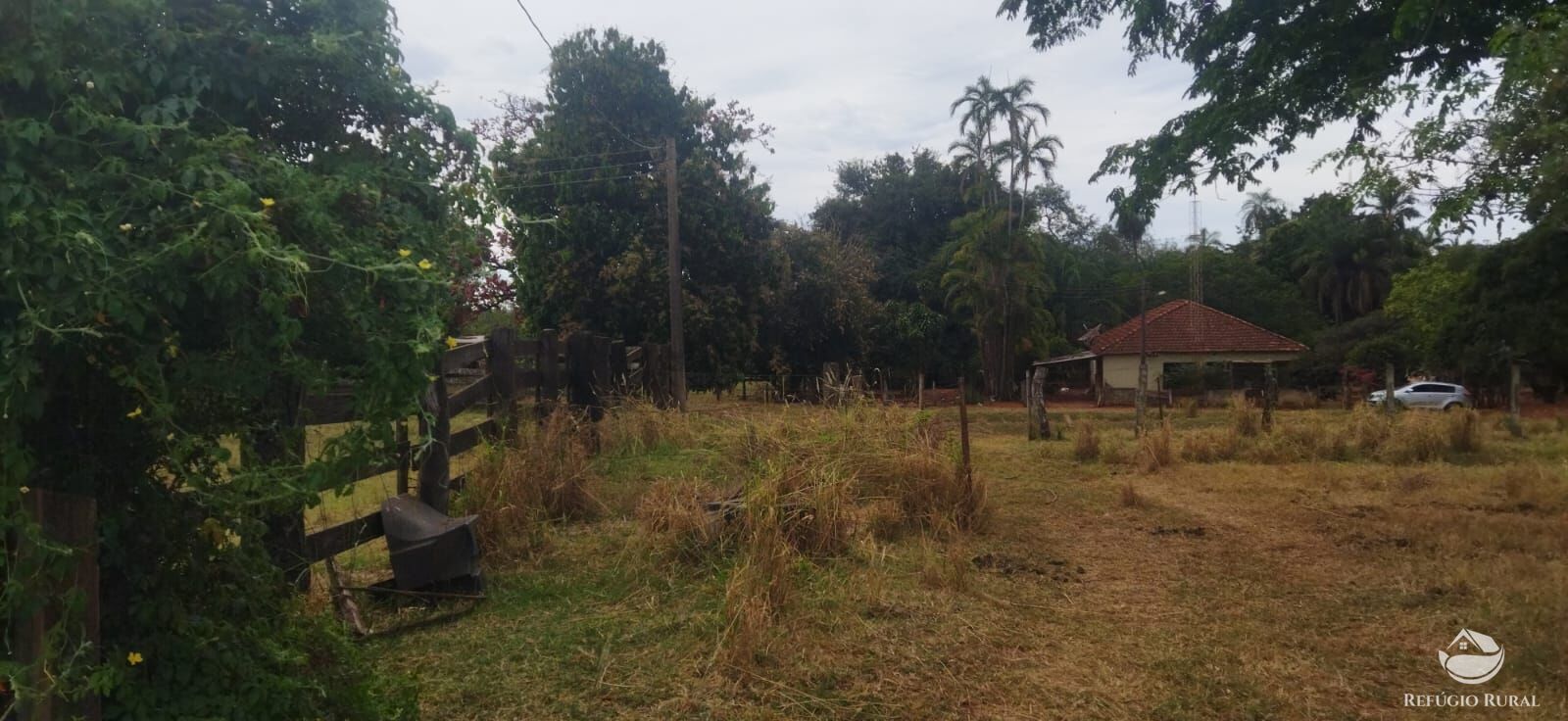 Fazenda em Frutal/Minas Gerais — Ref XDB6GF — Imagem 30