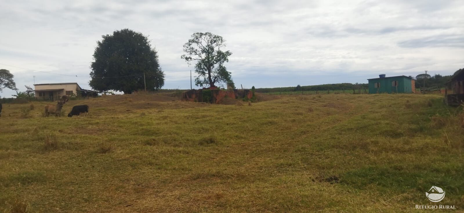 Fazenda em Frutal/Minas Gerais — Ref XDB6GF — Imagem 20