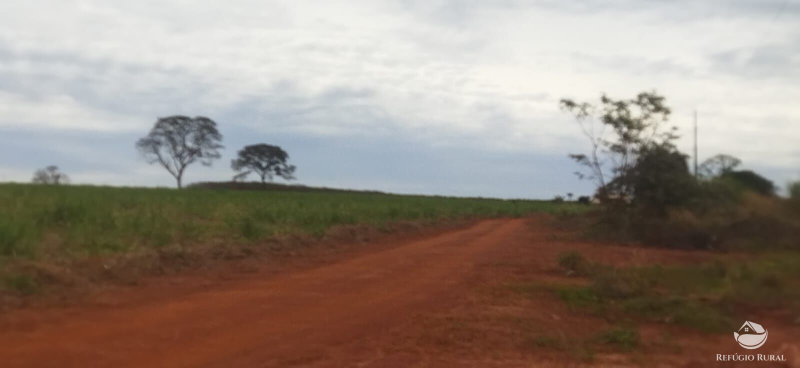 Fazenda em Frutal/Minas Gerais — Ref XDB6GF — Imagem 44