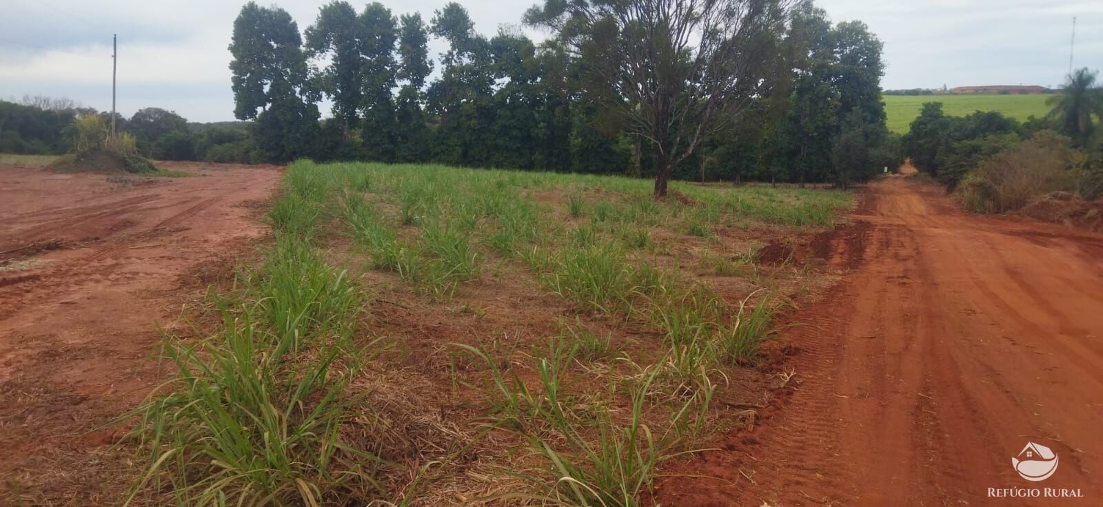 Fazenda em Frutal/Minas Gerais — Ref XDB6GF — Imagem 43