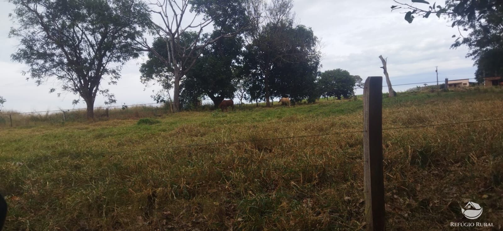 Fazenda em Frutal/Minas Gerais — Ref XDB6GF — Imagem 32