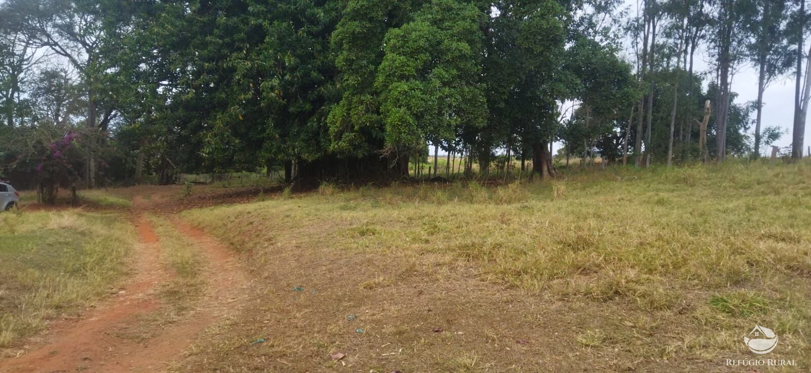 Fazenda em Frutal/Minas Gerais — Ref XDB6GF — Imagem 17