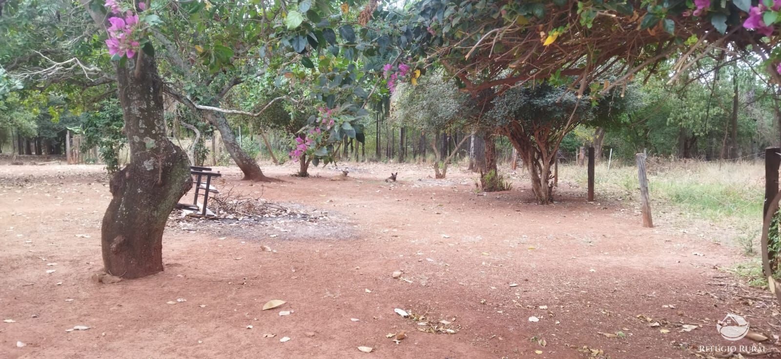 Fazenda em Frutal/Minas Gerais — Ref XDB6GF — Imagem 24